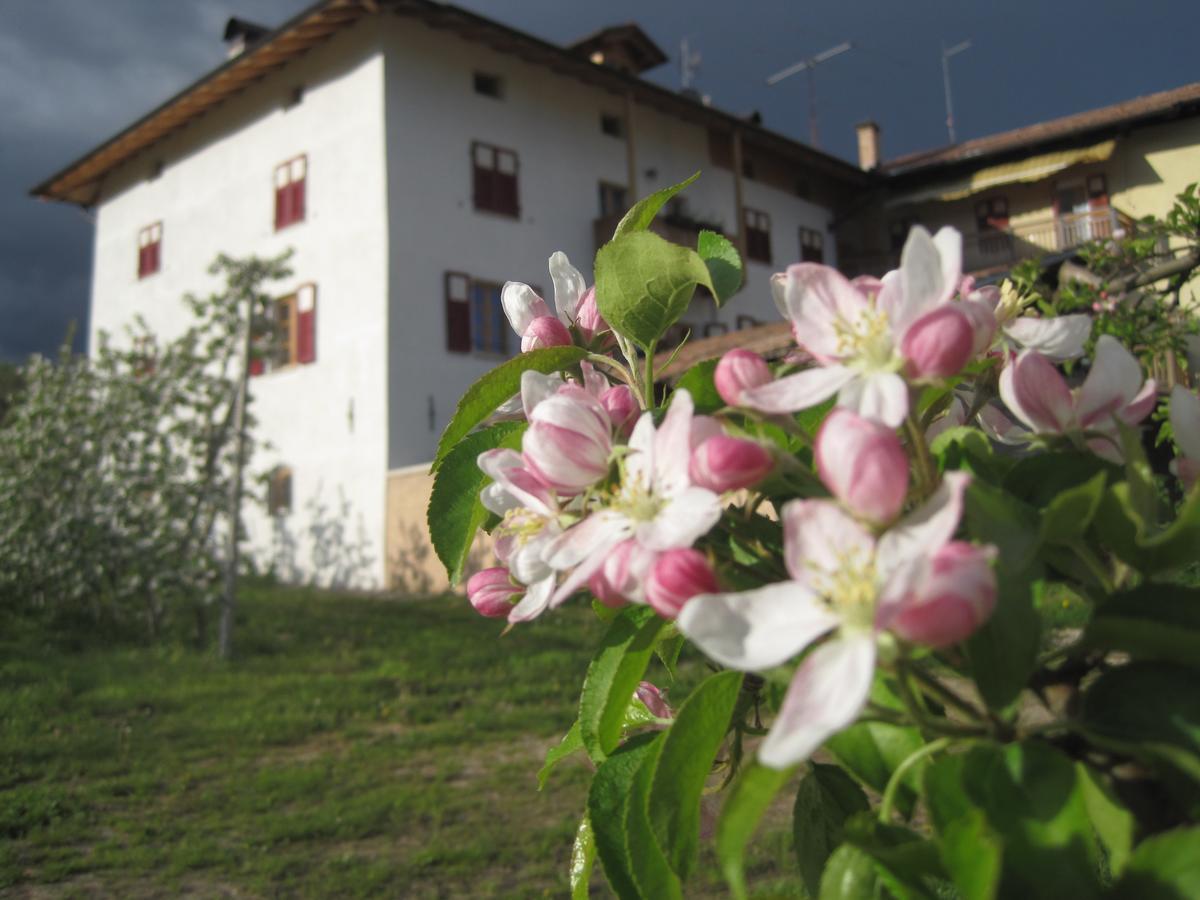 Agritur Maso San Bartolomeo Vila Romeno Exterior foto